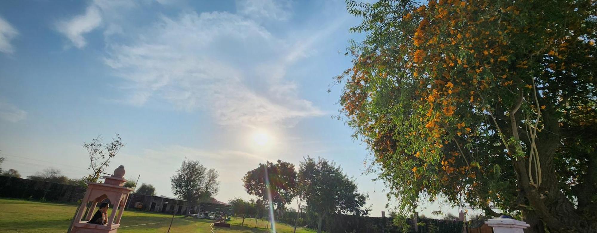 ג'ודפור Holiday Farm Jodhpur מראה חיצוני תמונה